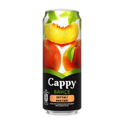 Cappy Kutu Çeşitleri